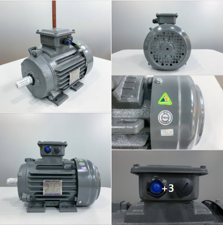 Motor Teco của nước nào