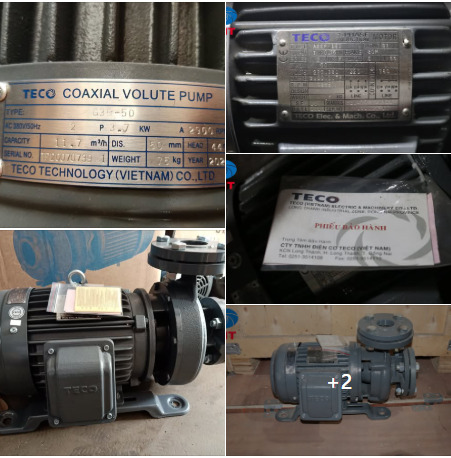 Dòng motor Teco