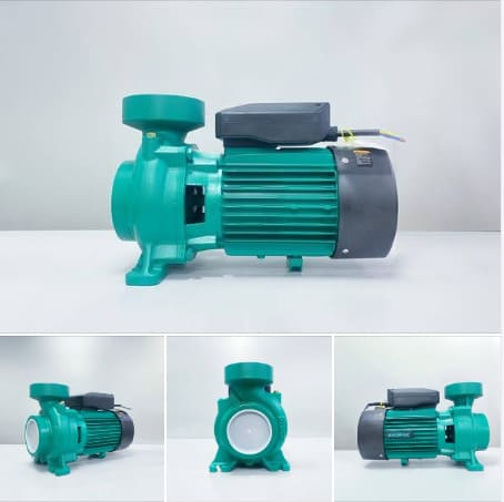 Máy bơm trục đứng Shimge