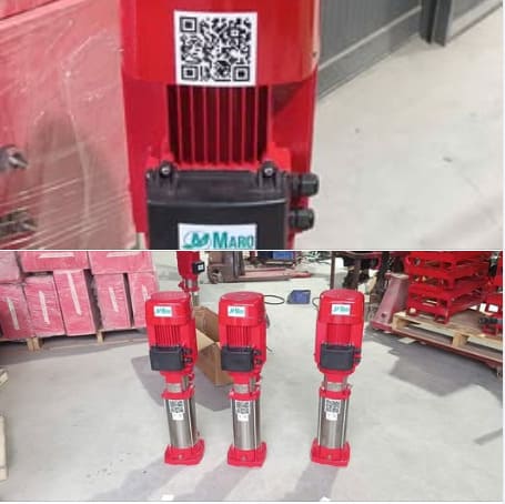 Bơm trục đứng Maro thực tế