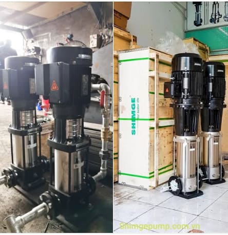Bơm trục đứng Trung Quốc