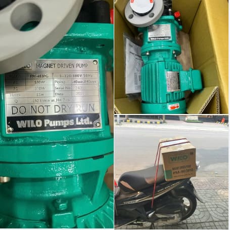Bơm Hóa Chất Wilo 4