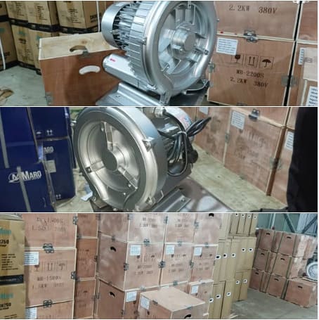 Máy Thổi Khí Con Sò Maro thực tế 2