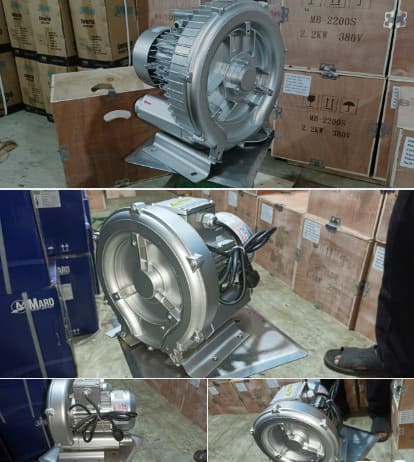 Máy Thổi Khí Con Sò Maro thực tế 3