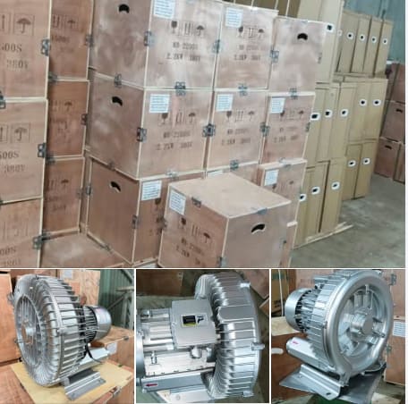 Máy Thổi Khí Con Sò Maro thực tế