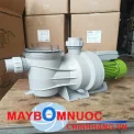 Máy bơm hồ bơi - bơm nước biển  MARO MRP-1200 ( 1200W-220V ) 