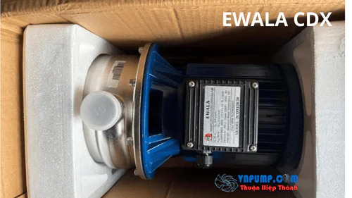 Ảnh thực tế máy bơm Ewala CDX 5