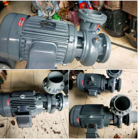 Máy bơm ly tâm trục ngang đầu gang Teco 2