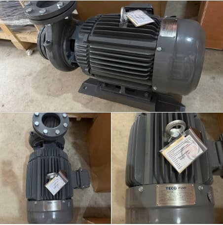 Máy bơm ly tâm trục ngang đầu gang Teco 4