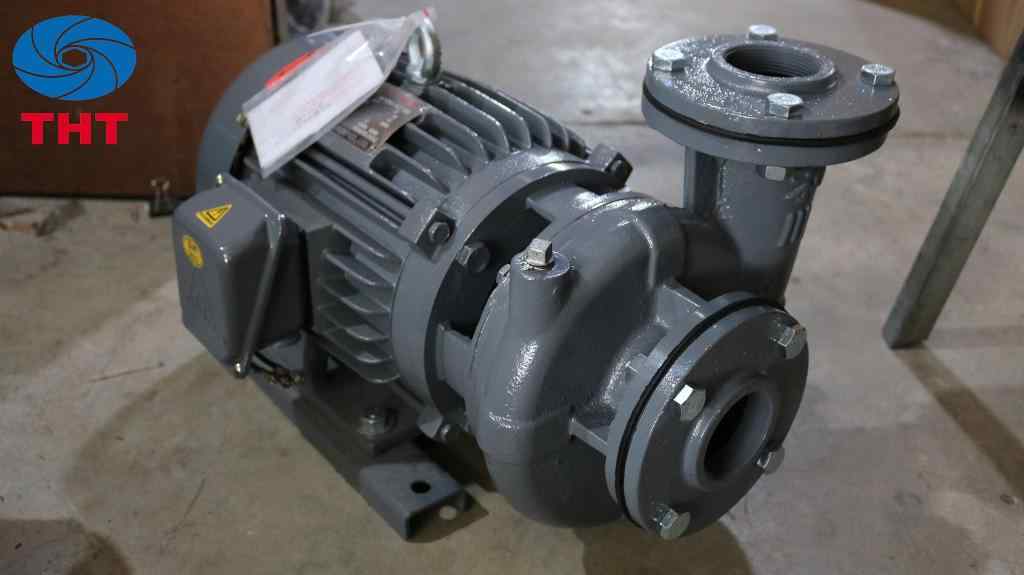 Ảnh thực tế máy bơm ly tâm dạng xoáy đầu gang NTP HVP 3