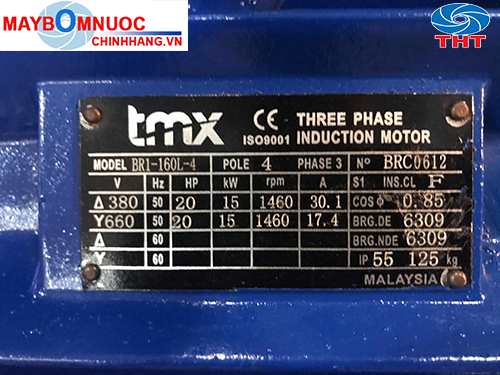 Motor điện TMX